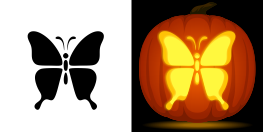 Butterfly Pumpkin Stencil